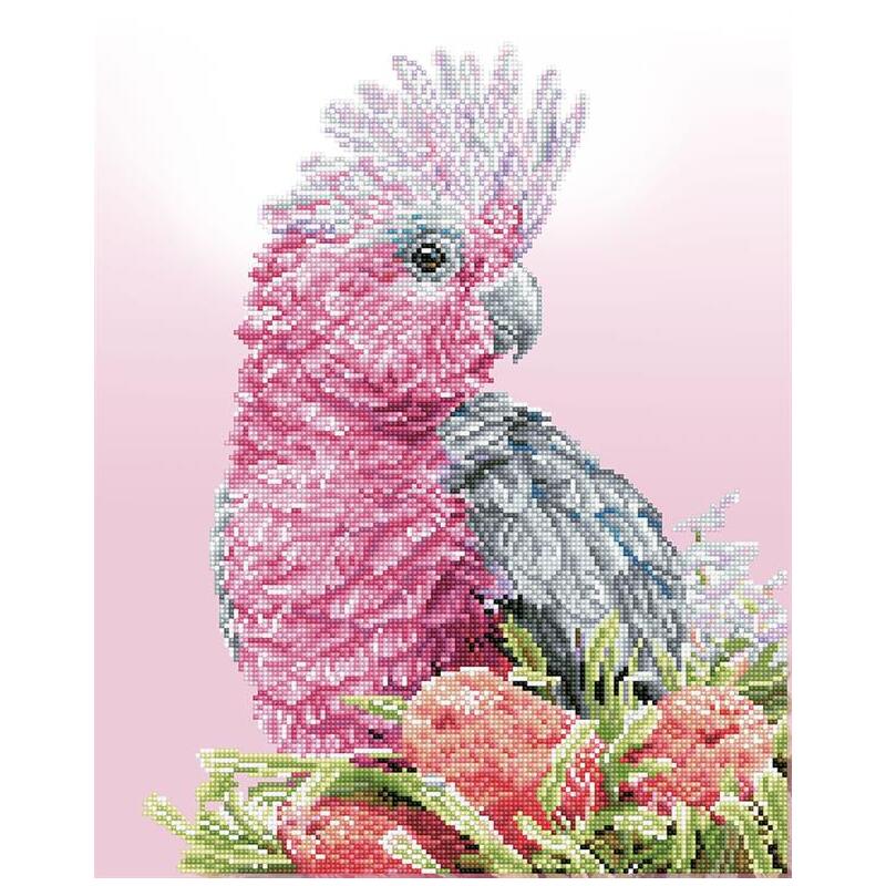 Diamond Dotz PINK GALAH & BANKSIAS DD10.058 5D Diamond Painting Art Kit, Round Dots