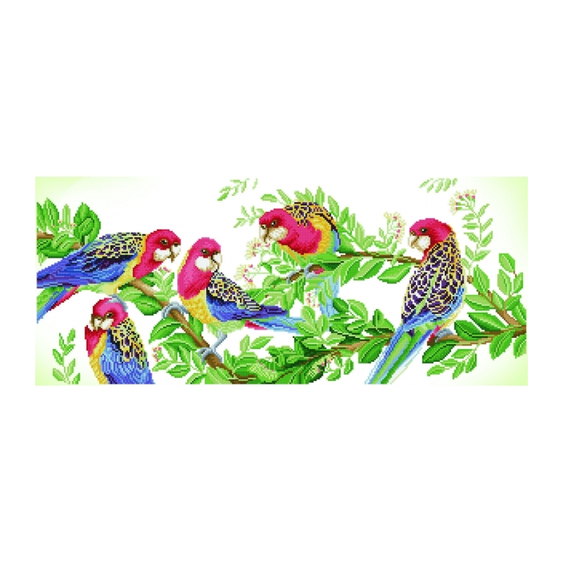 Diamond Dotz EASTERN ROSELLA GATHERING DD13.025, 5D Multi Faceted Diamond Art Kit