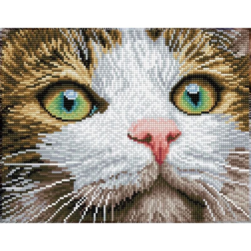 Diamond Dotz GREEN EYED BEAUTY DD6.029, 5D Multi Faceted Diamond Painting Kit