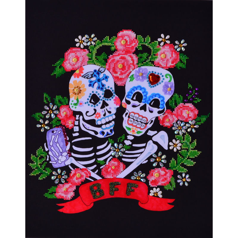 Diamond Dotz Embroidery Facet Art Kit, Intermediate BFF