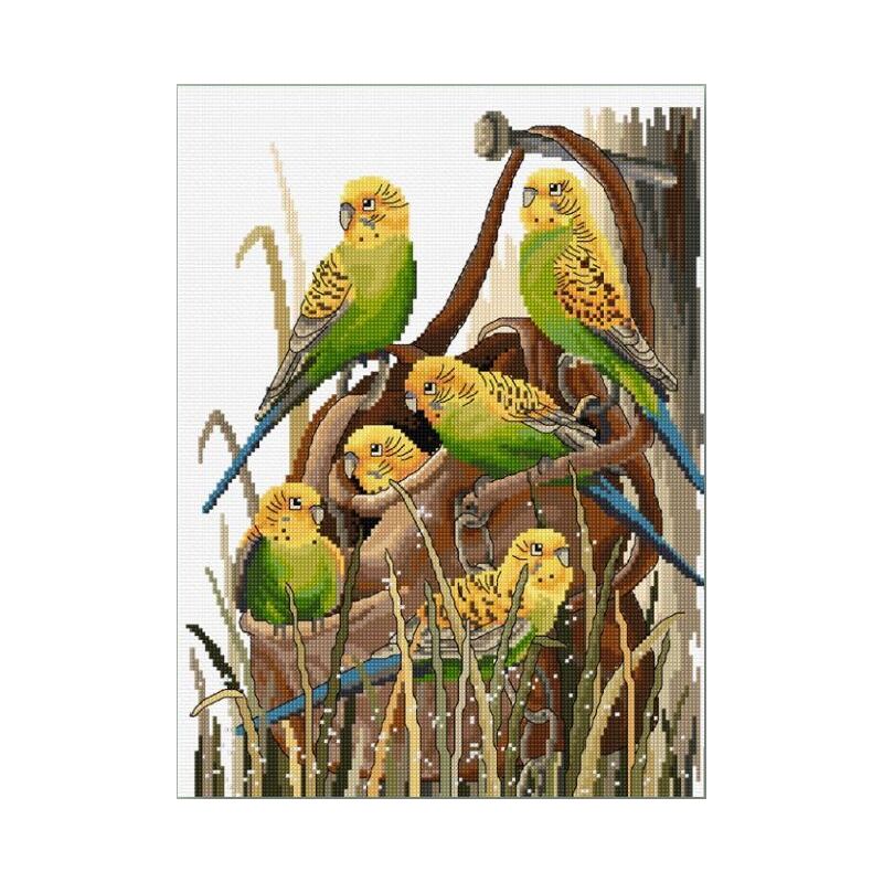 Country Threads BUSH BUDGIES Counted Cross Stitch Kit 26x34cm 