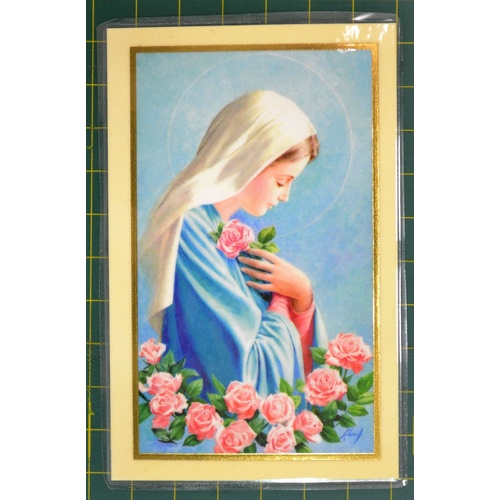 The Mystical Rose Laminated Prayer Card, 110 x 70mm, Holy Card
