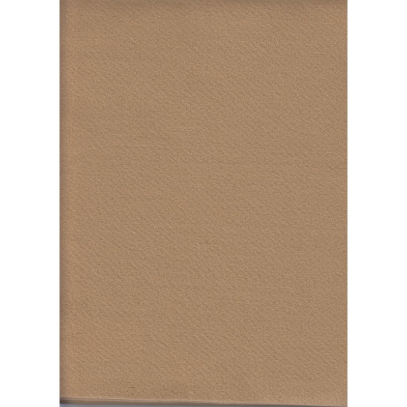 Acrylic Felt Rectangles (Squares), Approximately 30 x 25cm, CAMEL, 10 Sheets
