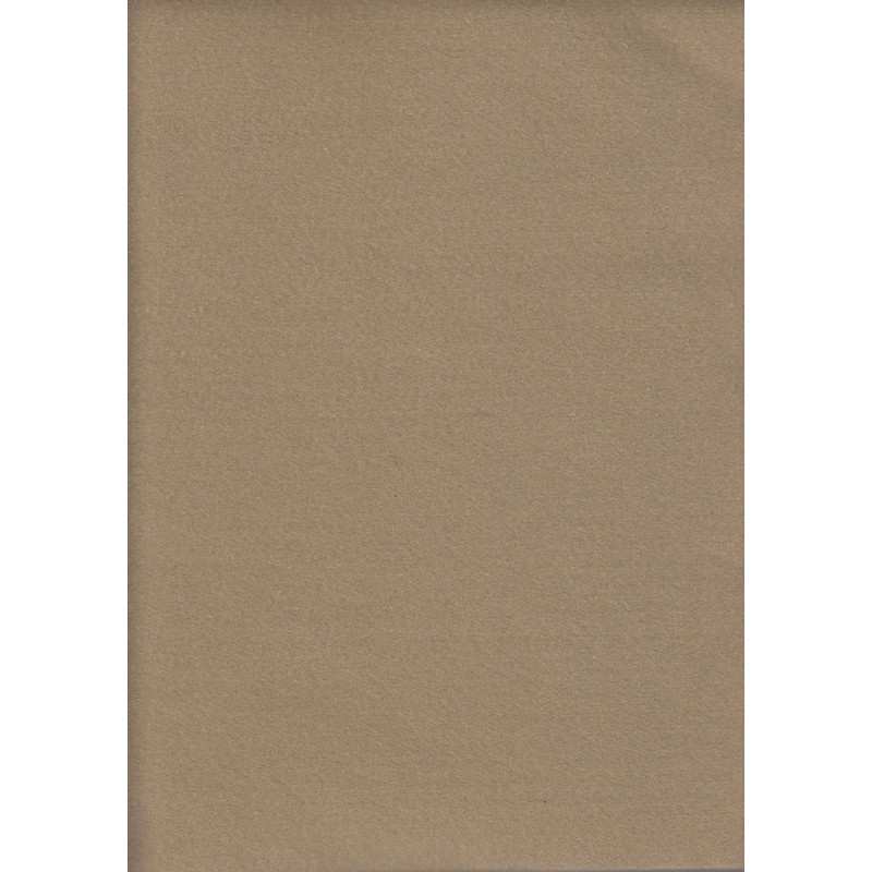 Acrylic Felt Rectangles (Squares), Approximately 30 x 25cm, BEIGE, 10 Pack