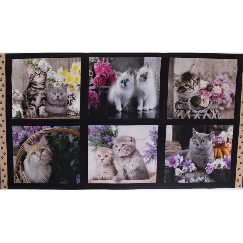 Cute Kittens 0123A 6 Block PANEL 100% Cotton Fabric, per 60cm Panel