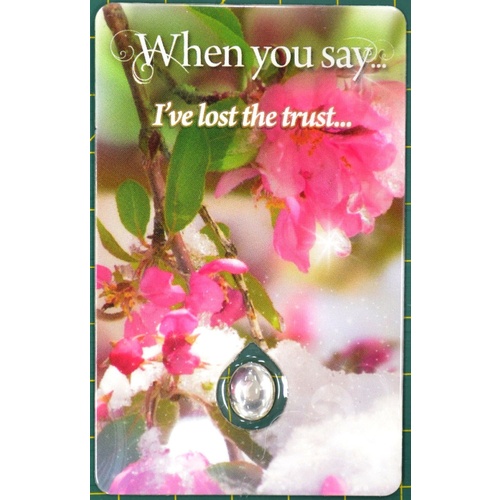 I'VE LOST THE TRUST, Inspirational Card & Droplet Charm, 54mm x 85mm Laminated