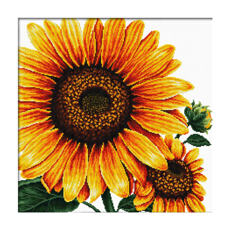 SUNFLOWER MC640.085, No Count Cross Stitch Kit, 40 x 40cm. 14 count Printed aida