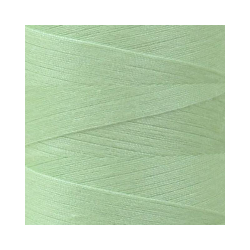 Rasant 120 Thread #0071 LIGHT LIME GREEN 5000m, Sewing & Quilting Thread
