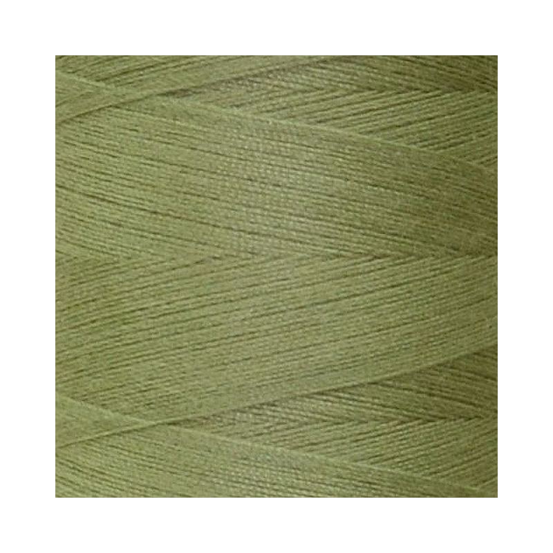 Rasant 120 Thread #0453 LIGHT KHAKI GREEN 5000m, Sewing & Quilting Thread