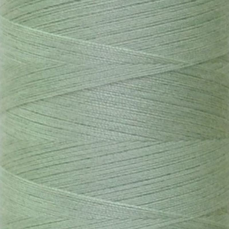 Rasant 120 Thread #1095 LIGHT CELADON GREEN 5000m, Sewing & Quilting Thread