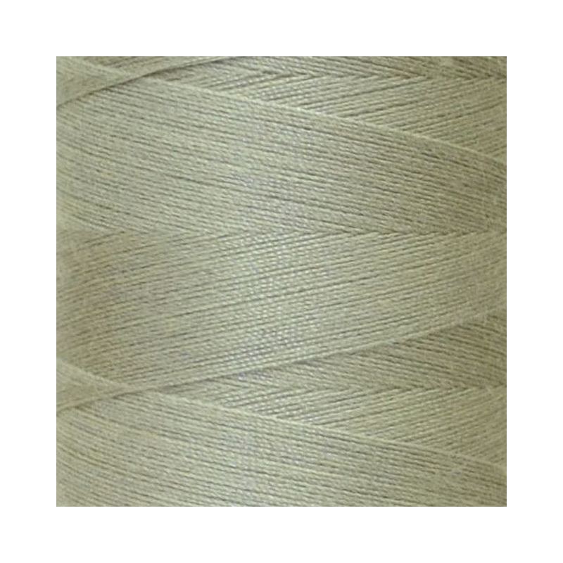 Rasant 120 Thread #1185 LIGHT MOSS 5000m Sewing & Quilting Thread