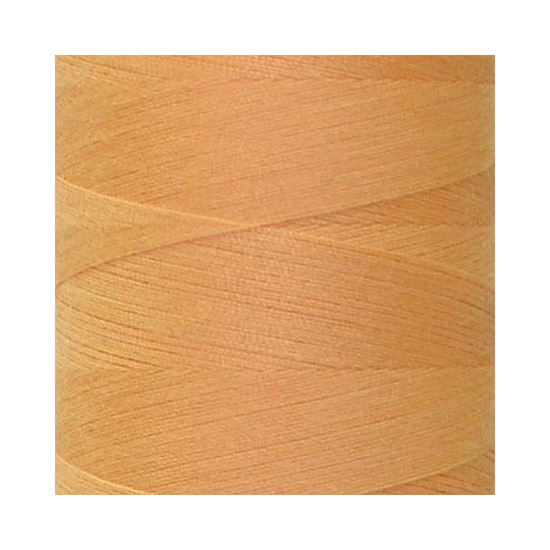 Rasant 120 Thread #2422 PALE PUMPKIN ORANGE 5000m Sewing & Quilting Thread