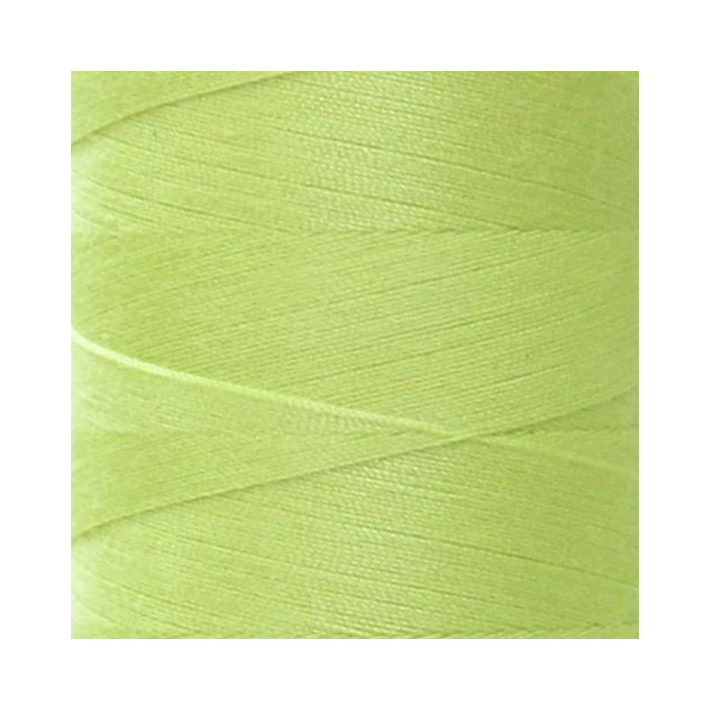 Rasant 120 Thread #X1343 VERY LIGHT MOSS 5000m Sewing & Quilting Thread