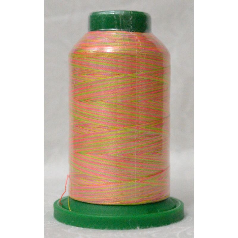 Isacord 9909 BABY GIRL Variegated Polyester Embroidery Thread