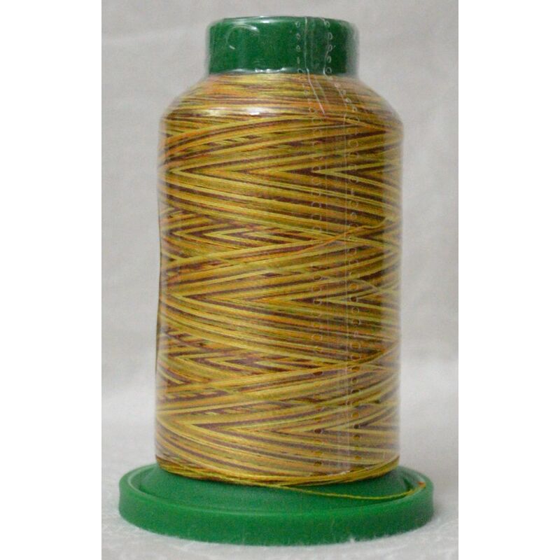 ISACORD 40 #9975 Variegated AUTUMN HARVEST 1000m Machine Embroidery Sewing Thread